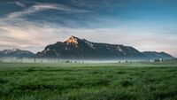 Untersberg 25/V4: Georg Zagler