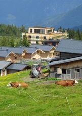 25/W1: Werkstattgespräch Alpenraum