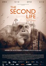 The Second Life