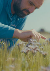 Hope! We are in time