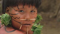 25/G2: Yanomami – 30 Jahre später