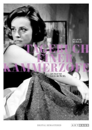 Tagebuch einer Kammerzofe