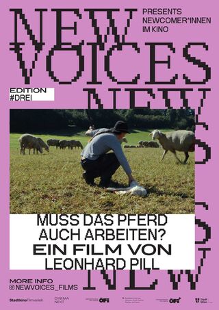 Muss das Pferd auch arbeiten?