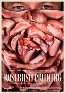 Rosebush Pruning
