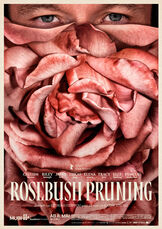 Rosebush Pruning